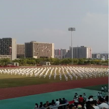 八段锦表演