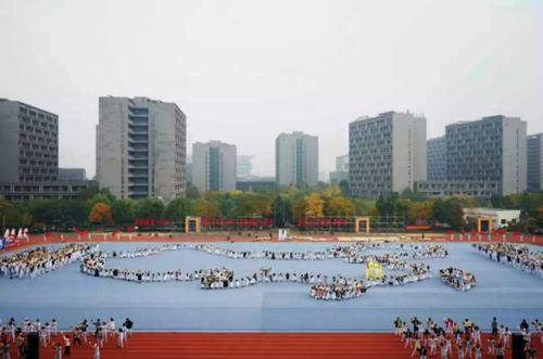 图片3